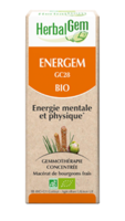 Herbalgem Energem Solution Buvable Bio Fl Cpte-Gttes/30Ml