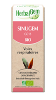 Herbalgem Sinugem Solution Buvable Bio Fl Cpte-Gttes/30Ml