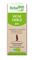 Herbalgem Vigne Vierge Macérat Bio 30Ml