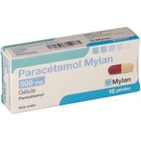 Paracetamol Mylan 500 Mg, Gélule Fl/16Paracétamol - Flacon(S) Polyéthylène Haute Densité (Pehd) de 16 Gélule(S)